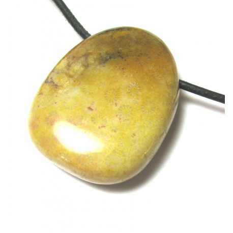 Trommelstein gebohrt Versteinerte Koralle