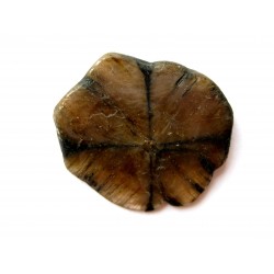 Chiastolith Scheibe beidseitig poliert 3-4 cm