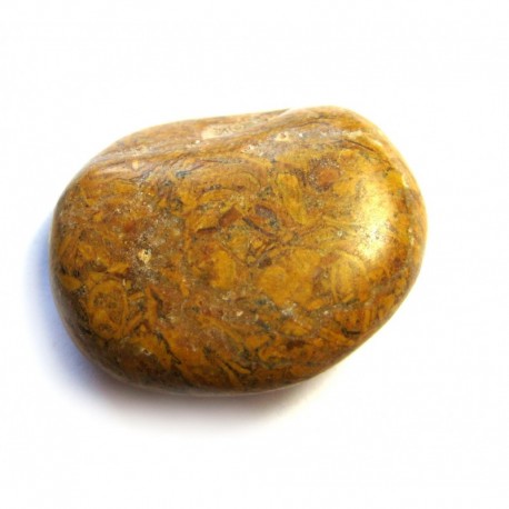 Trommelstein Fossilienkalk (Schlangenstein) 100 g