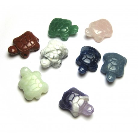 Schildkröte gebohrt Mischung 2,5 cm VE 10 Stück