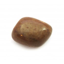 Trommelstein Aragonit-Calcit "Karlsbader Sprudelstein" 1 Stück