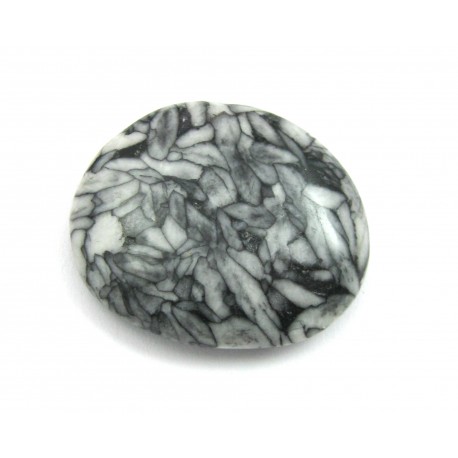 Scheibenstein Pinolith 3-4 cm - 1 Stück