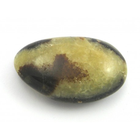 Scheibenstein Septarie 3 - 5 cm 1 Stück