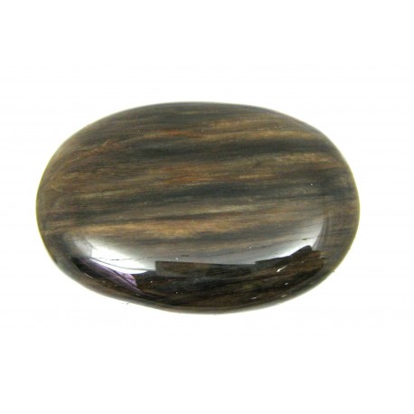 Seifenstein versteinertes Holz