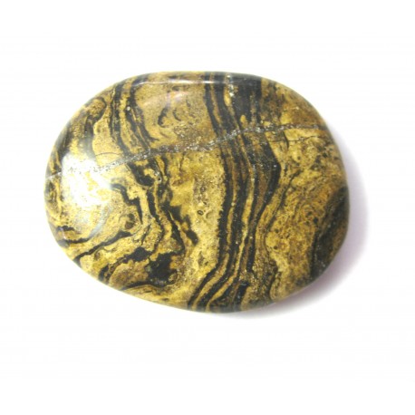 Scheibenstein Marmor Stromatolith 1 Stück