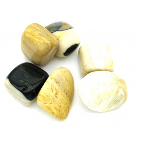 Trommelstein Versteinertes Holz Mix 100 g