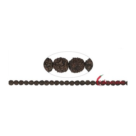 Strang Kugeln Rudraksha (schwarz/dunkelbraun) 8 mm
