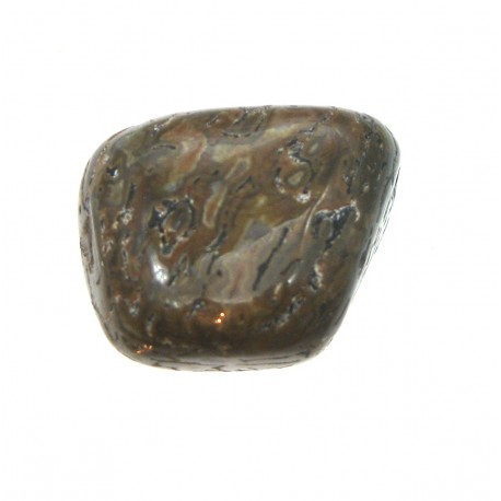 Trommelstein Dinosaurier-Knochen  100 g