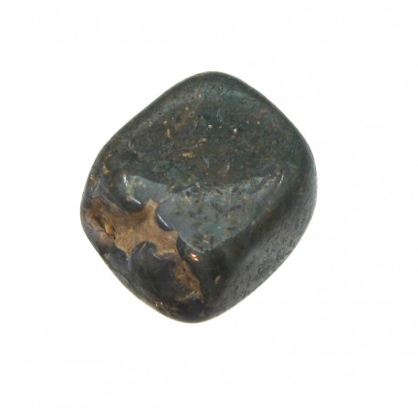 Trommelstein Dinosaurier-Knochen 1 Stück