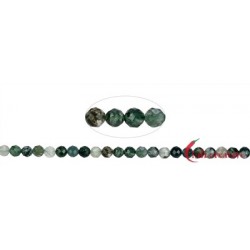 Strang Kugeln Moosachat grün (Chalcedon) facettiert 4 mm