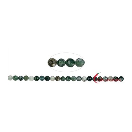 Strang Kugeln Moosachat grün (Chalcedon) facettiert 4 mm