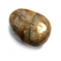 Trommelstein Chiastolith B 500 g