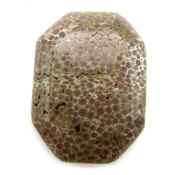 Scheibenstein Oolith Kalkoolith kantig 2,5-3,5 cm 1 Stück