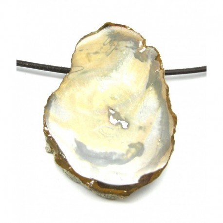 Scheibe gebohrt versteinertes Holz 3 - 4 cm