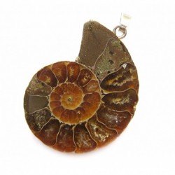 Anhänger Ammonit mit 925er Silberöse 2,5 - 3,0 cm