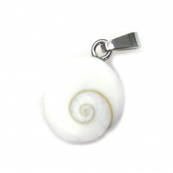 Trommelstein-Anhänger Muschel Operculum mit 925er Silber