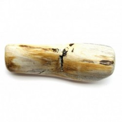 Asttück versteinertes Holz poliert länglich 20 - 22 cm