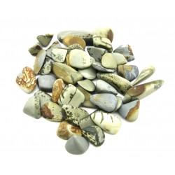 Trommelstein Porcellanit 100 g