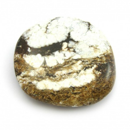 Scheibenstein Magnesit Nickel-Magnesit in Matrix 4-5 cm 1 Stück