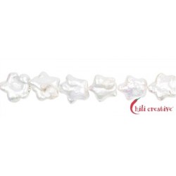 Strang Sterne Süßwasser-Perle weiß-silber (natur) 11 - 12 mm