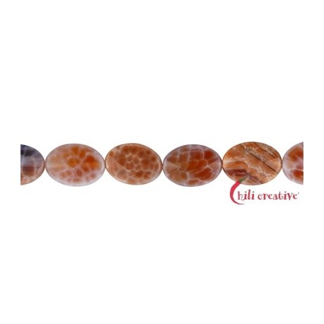 Strang Linse Achat (Schlangenachat) orange (gef.) 18 x 13 mm facettiert