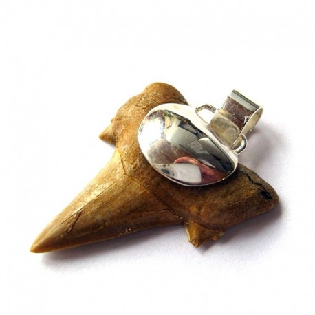 Haizahn in 925er Silber gefaßt