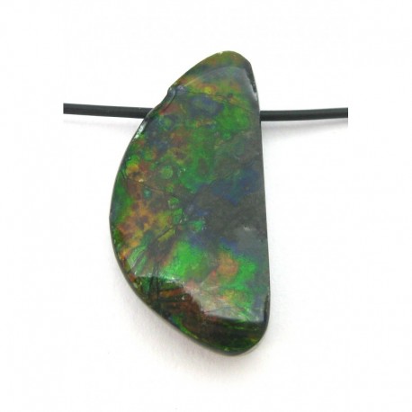 Freeform gebohrt Ammolit 25 - 28 mm Oberffäche Acryl versiegelt