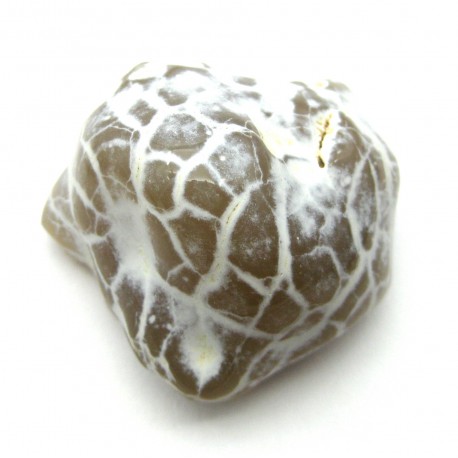 Trommelstein Achat Schlangenhaut 1 Stück