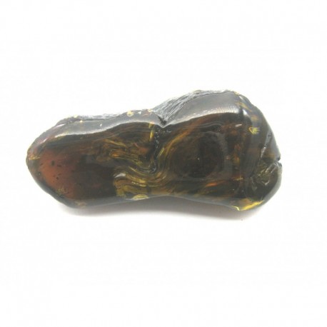 Anschliff Bernstein Sumatra Indonesien 7-8 cm