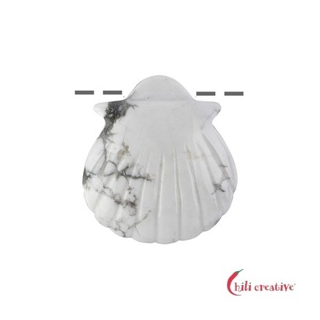 Muschel Magnesit gebohrt 4 cm