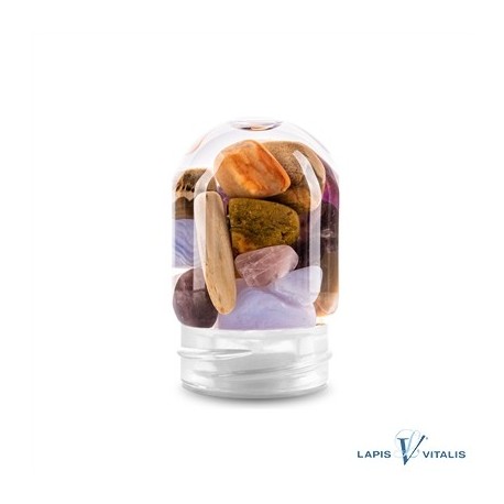 VitaJuwel ViA Fünf Elemente Edelsteinmodul (Amethyst, Chalcedon, versteinertes Holz, Rosenquarz, Ozeanjaspis)