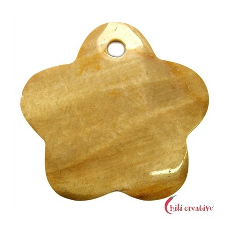 Blüte versteinertes Holz frontgebohrt 6,7 cm