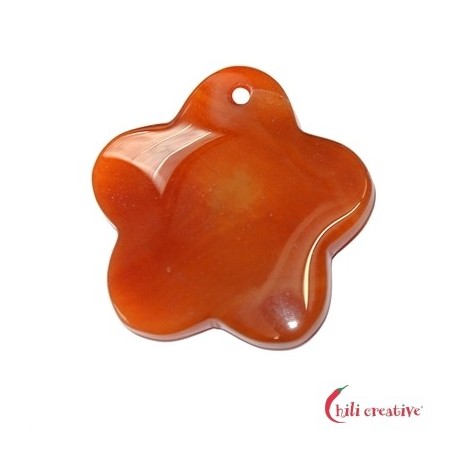 Blüte Carneol (gebr.) frontgebohrt 4,8 cm