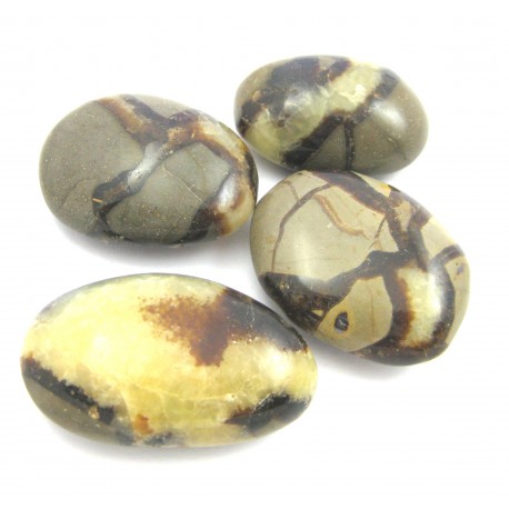 Scheibenstein Septarie 3 - 5 cm VE 500 g