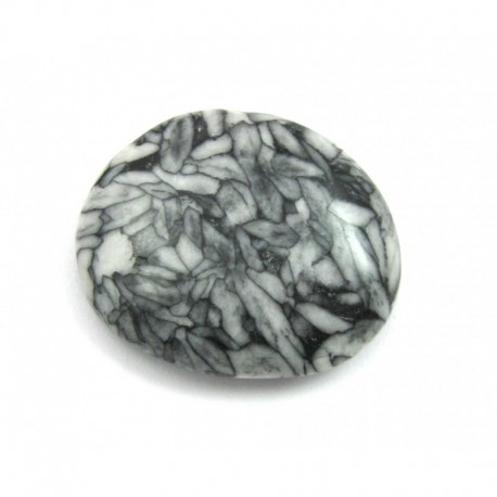 Scheibenstein Pinolith 4 - 5 cm - 1 Stück