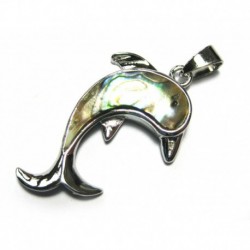 Anhänger Delfin mit Abalone-Muschel 34x24x5 mm