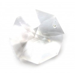 Swarovski Bagua 40 mm