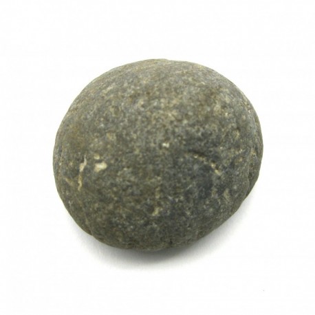 Seeigel versteinert B-Qualität 4 - 5 cm