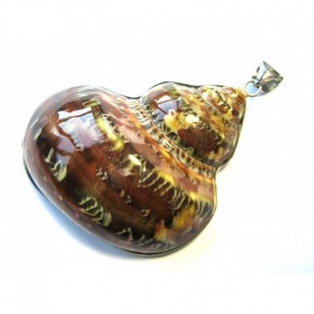 Anhänger Muschel 1,8 x 5 x 6 cm