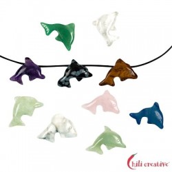 Delfin gebohrt Mischung 2,5 cm VE 10 Stück