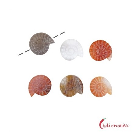 Schnecke Achat / Carneol erhitzt 22 mm mit feiner 1 mm Bohrung VE 6 Stück