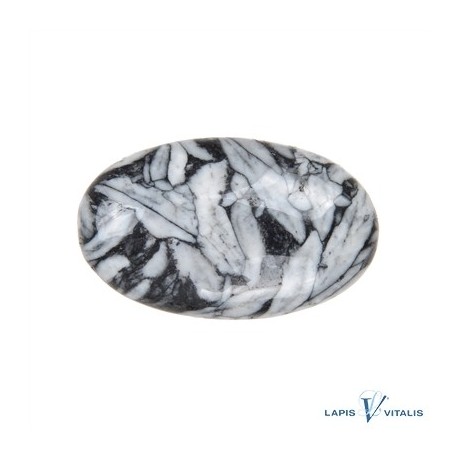 Linsenstein Pinolith (Eisblumenmagnesit) 3 x 4.5 cm