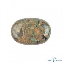 Linsenstein Rhyolith Augenrhyolith 3 x 4.5 cm