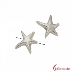 Seestern 14 x 12 mm 925er Silber matt VE 2 Stück