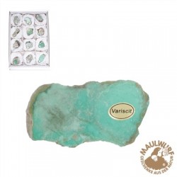 Anschliffe Variscit 4,5 - 6,5 cm VE 12 Stück