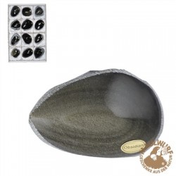 Anschliffe Obsidian (Goldglanz) 6 - 9 cm VE 12 Stück