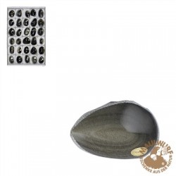 Anschliffe Obsidian (Goldglanz) 4,5 - 5,5 cm VE 30 Stück