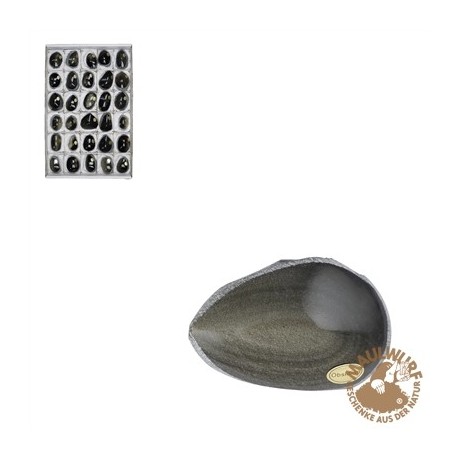 Anschliffe Obsidian (Goldglanz) 4,5 - 5,5 cm VE 30 Stück