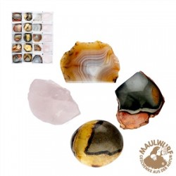 Anschliffe Madagaskar Start-Set 1 VE 20 Stück
