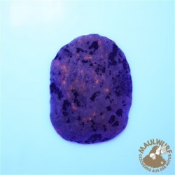 Anschliff Yooperlith (Sodalith-Syenit) 4 - 6 cm